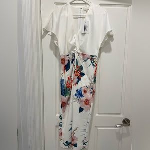 Ted Baker dress
